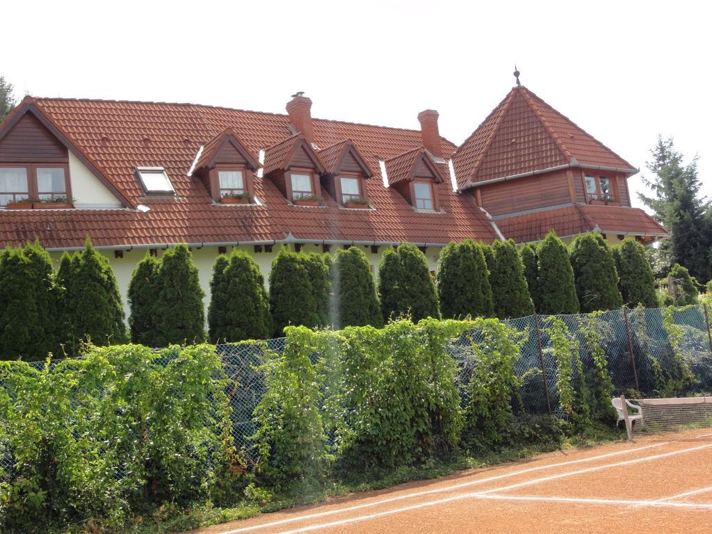 Palatinus Apartmanok ケストヘイ エクステリア 写真