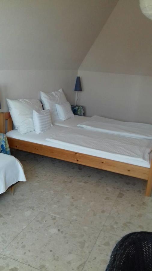 Palatinus Apartmanok ケストヘイ エクステリア 写真